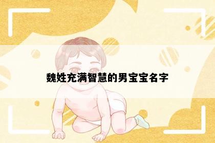 魏姓充满智慧的男宝宝名字