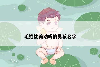 毛姓优美动听的男孩名字