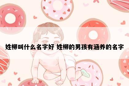 姓柳叫什么名字好 姓柳的男孩有涵养的名字