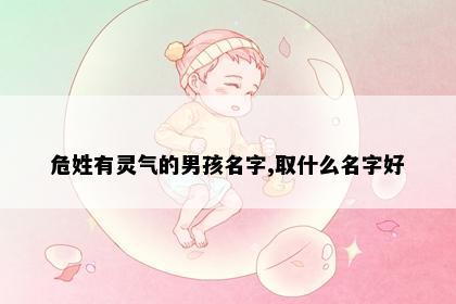 危姓有灵气的男孩名字,取什么名字好