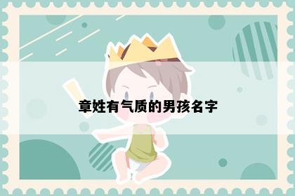 章姓有气质的男孩名字