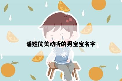 潘姓优美动听的男宝宝名字