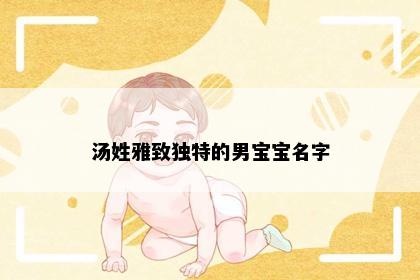 汤姓雅致独特的男宝宝名字