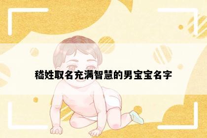 嵇姓取名充满智慧的男宝宝名字