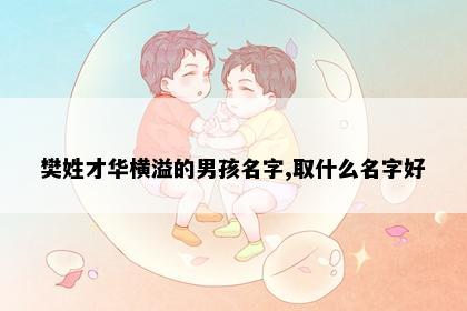 樊姓才华横溢的男孩名字,取什么名字好