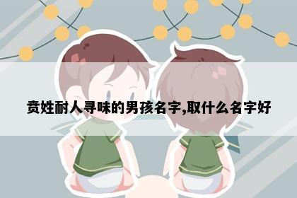 贲姓耐人寻味的男孩名字,取什么名字好