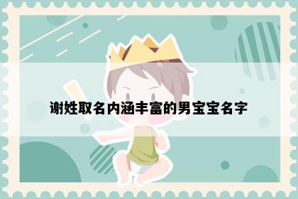 谢姓取名内涵丰富的男宝宝名字