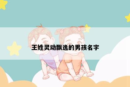 王姓灵动飘逸的男孩名字