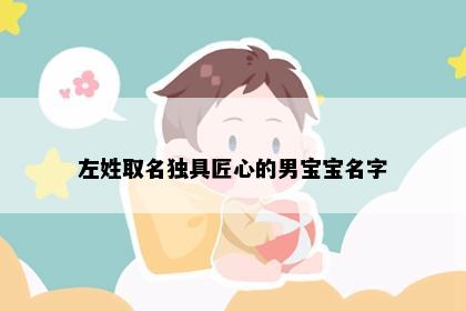 左姓取名独具匠心的男宝宝名字