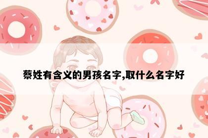 蔡姓有含义的男孩名字,取什么名字好