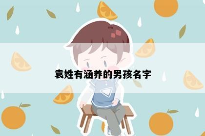 袁姓有涵养的男孩名字