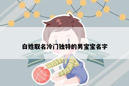 白姓取名冷门独特的男宝宝名字