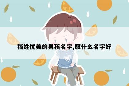 嵇姓优美的男孩名字,取什么名字好