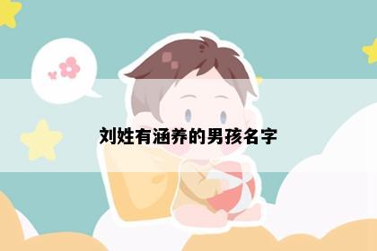 刘姓有涵养的男孩名字