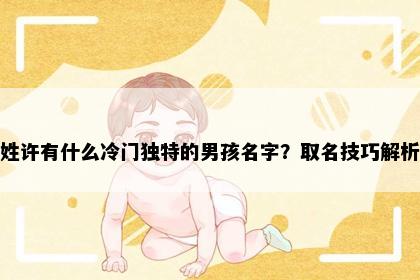 姓许有什么冷门独特的男孩名字？取名技巧解析