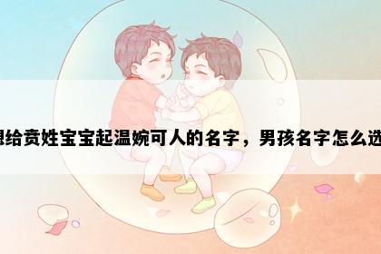 想给贲姓宝宝起温婉可人的名字，男孩名字怎么选？