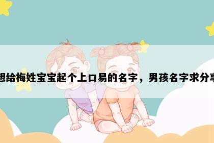 想给梅姓宝宝起个上口易的名字，男孩名字求分享