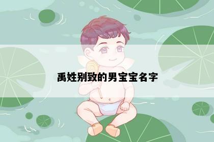 禹姓别致的男宝宝名字