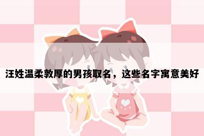 汪姓温柔敦厚的男孩取名，这些名字寓意美好