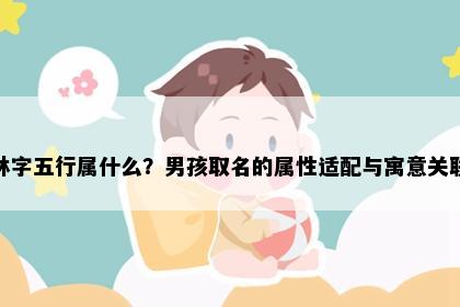林字五行属什么？男孩取名的属性适配与寓意关联