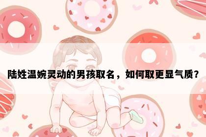 陆姓温婉灵动的男孩取名，如何取更显气质？